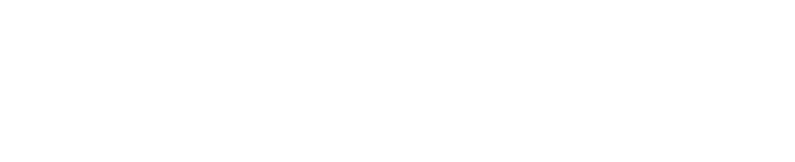 programma 