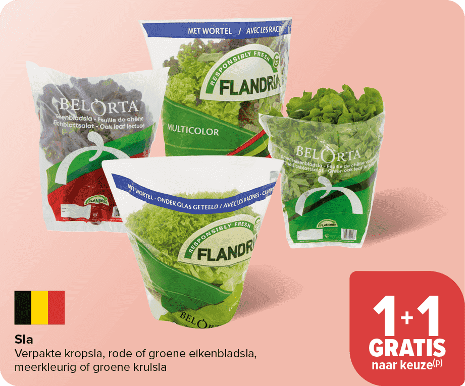 Sla ﻿﻿ Verpakte kropsla, rode of groene eikenbladsla, meerkleurig of groene krulsla ﻿﻿ ﻿﻿﻿﻿﻿﻿﻿﻿﻿﻿ ﻿﻿﻿﻿﻿﻿﻿﻿﻿﻿﻿﻿ ﻿﻿ ﻿﻿ ...